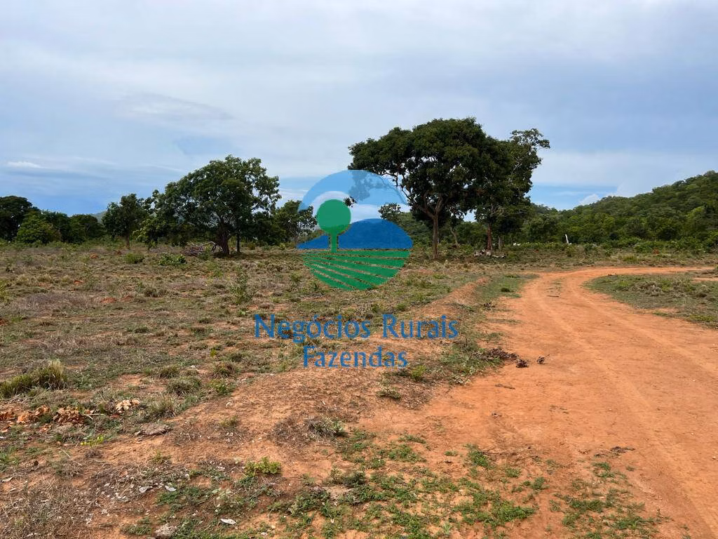 Fazenda de 1.403 ha em São Salvador do Tocantins, TO