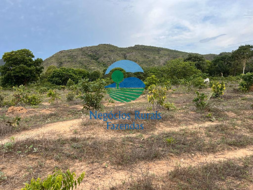 Fazenda de 1.403 ha em São Salvador do Tocantins, TO