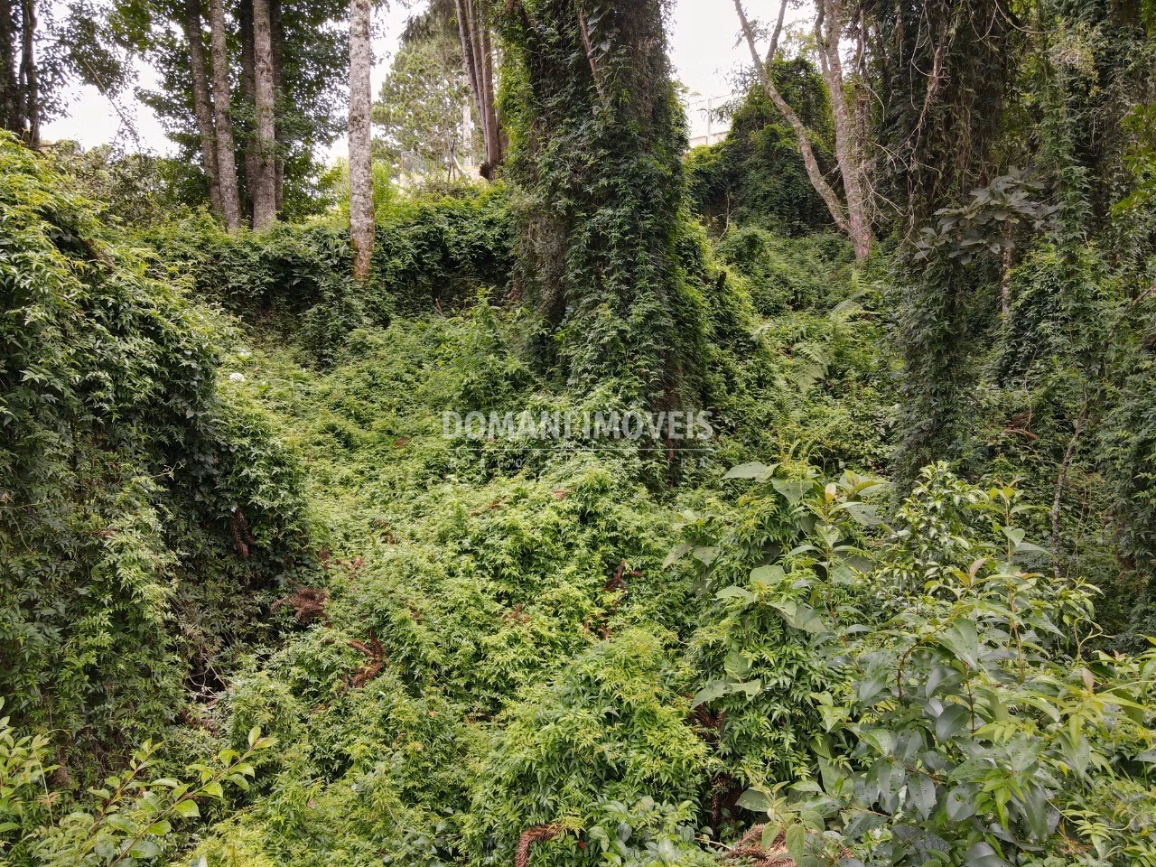 Plot of 1,950 m² in Campos do Jordão, SP, Brazil