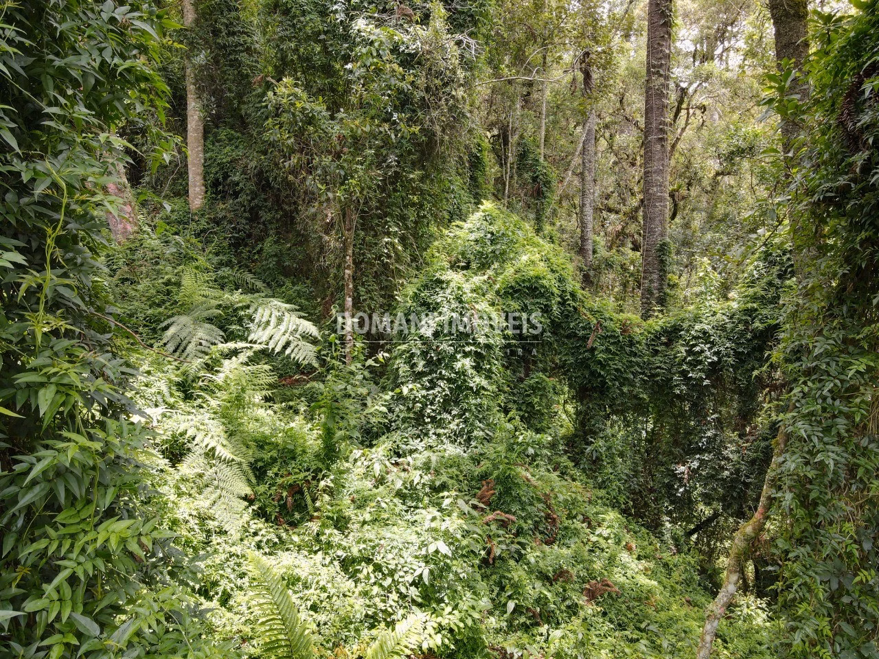 Plot of 1,950 m² in Campos do Jordão, SP, Brazil