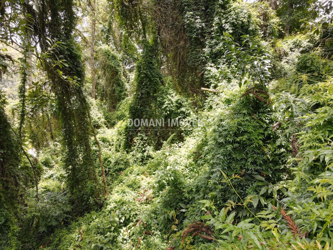 Plot of 1,950 m² in Campos do Jordão, SP, Brazil