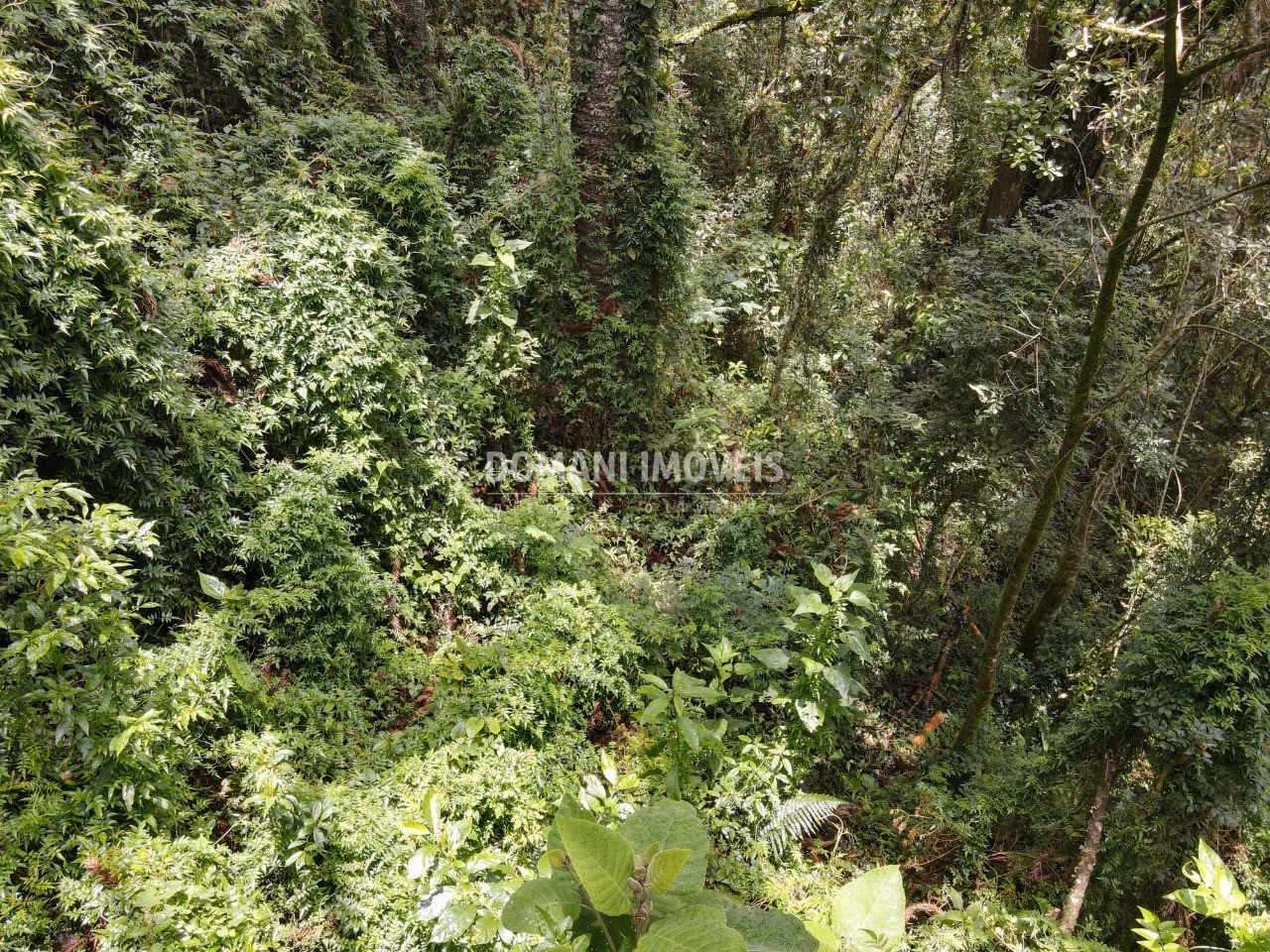 Plot of 1,950 m² in Campos do Jordão, SP, Brazil