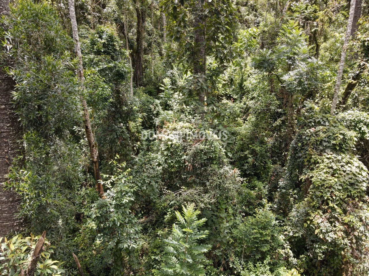 Plot of 1,950 m² in Campos do Jordão, SP, Brazil