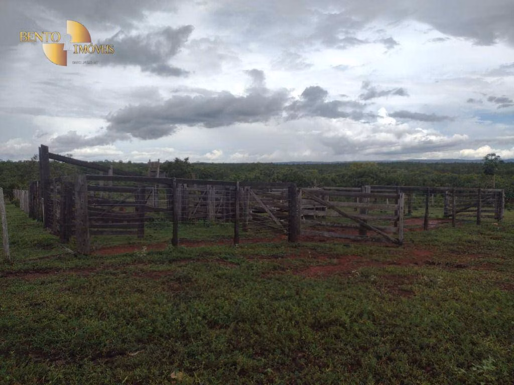 Fazenda de 434 ha em Guiratinga, MT
