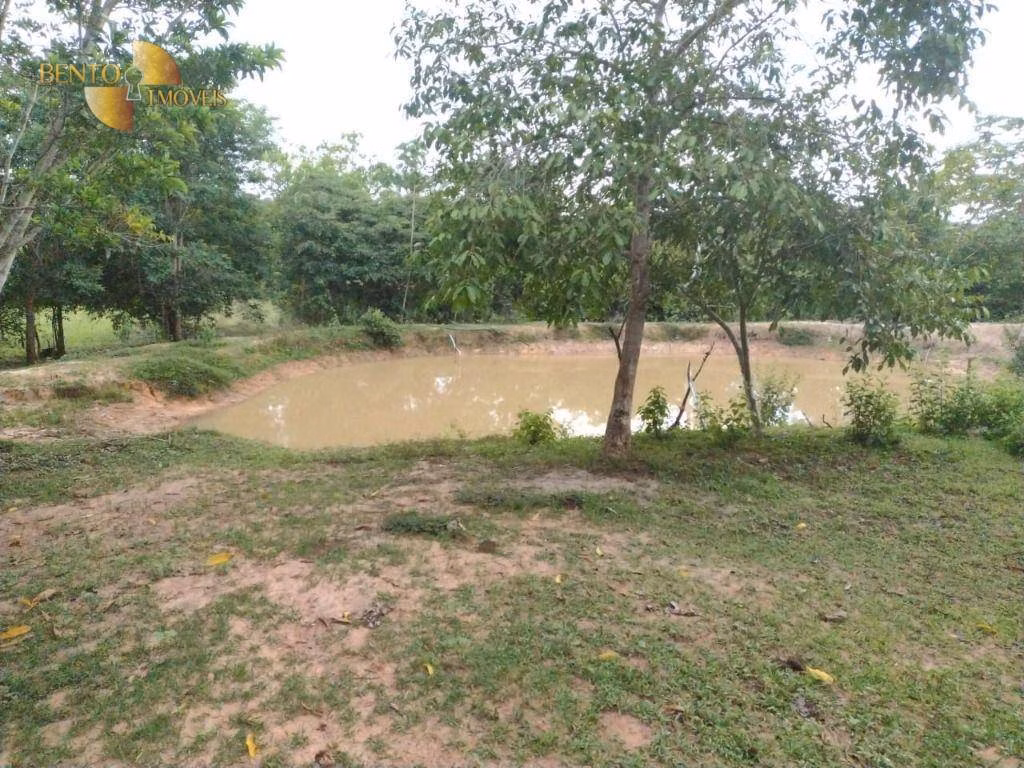 Fazenda de 434 ha em Guiratinga, MT