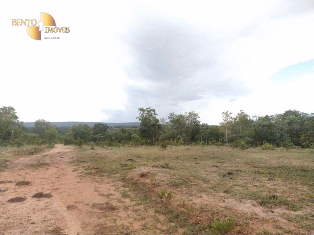 Fazenda de 434 ha em Guiratinga, MT
