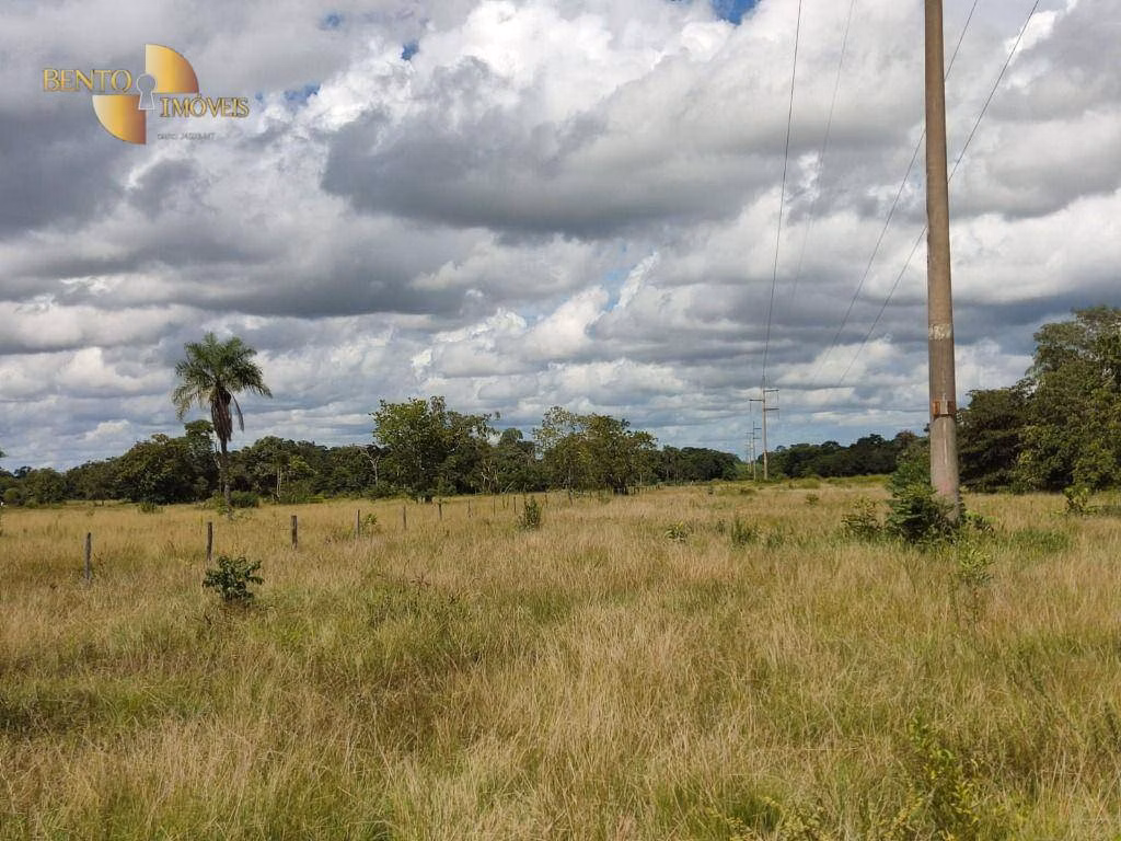 Farm of 914 acres in Poconé, MT, Brazil