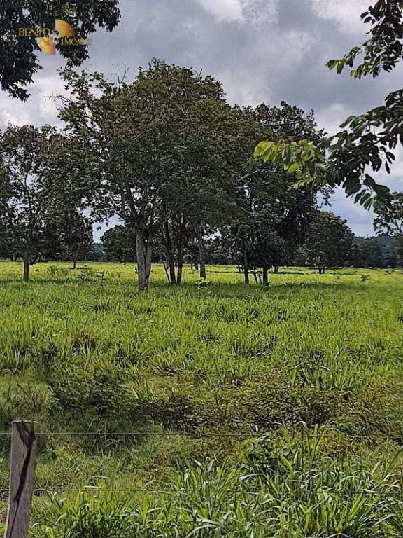 Farm of 914 acres in Poconé, MT, Brazil
