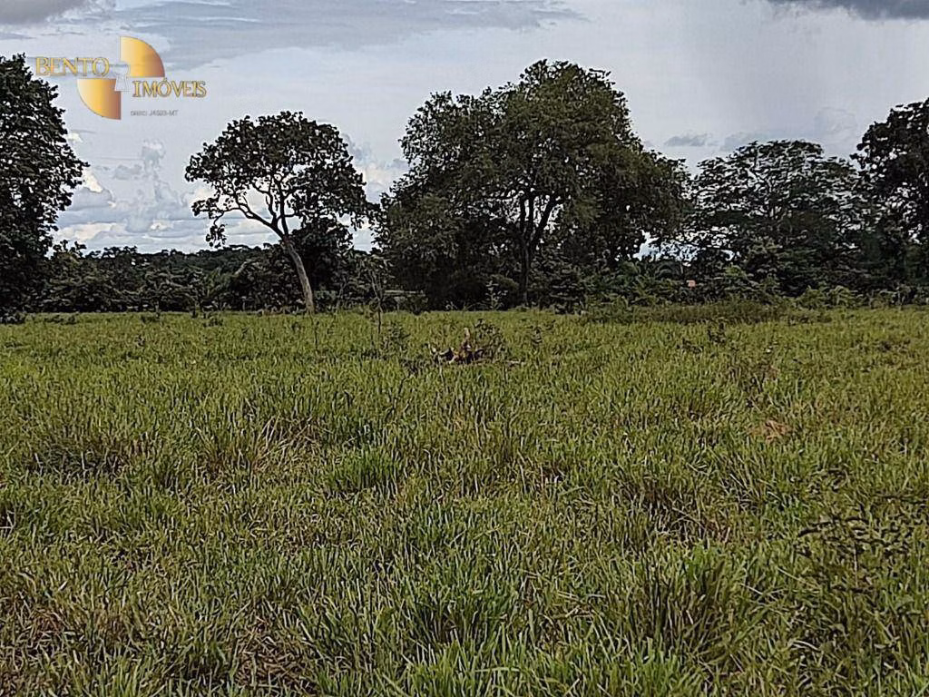 Farm of 914 acres in Poconé, MT, Brazil