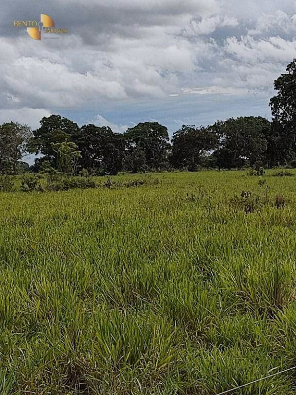 Farm of 914 acres in Poconé, MT, Brazil