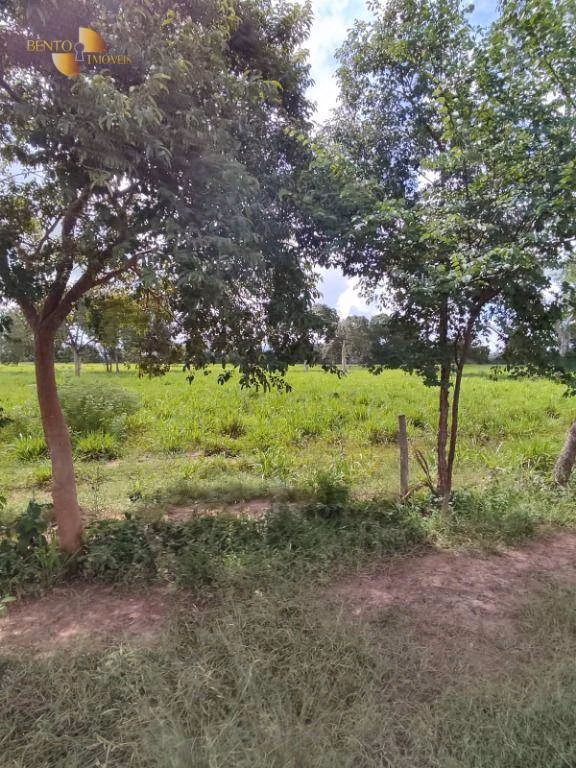 Farm of 914 acres in Poconé, MT, Brazil