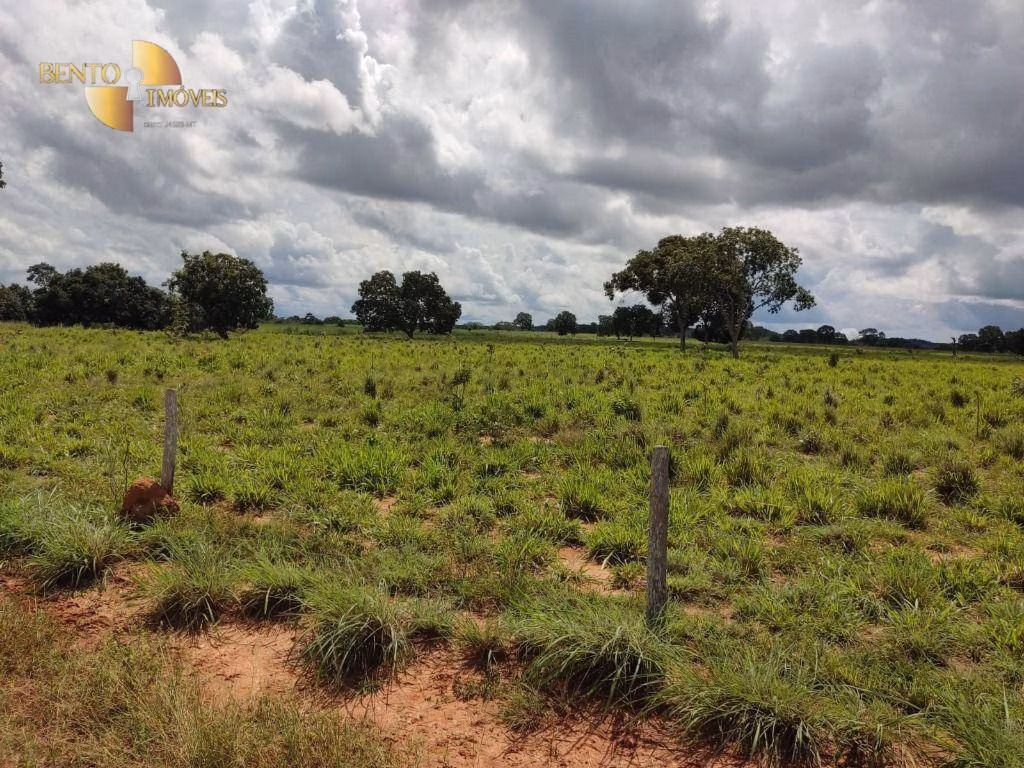 Farm of 914 acres in Poconé, MT, Brazil