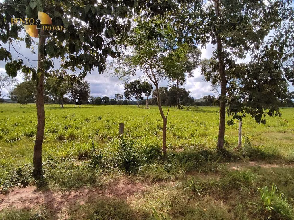 Farm of 914 acres in Poconé, MT, Brazil