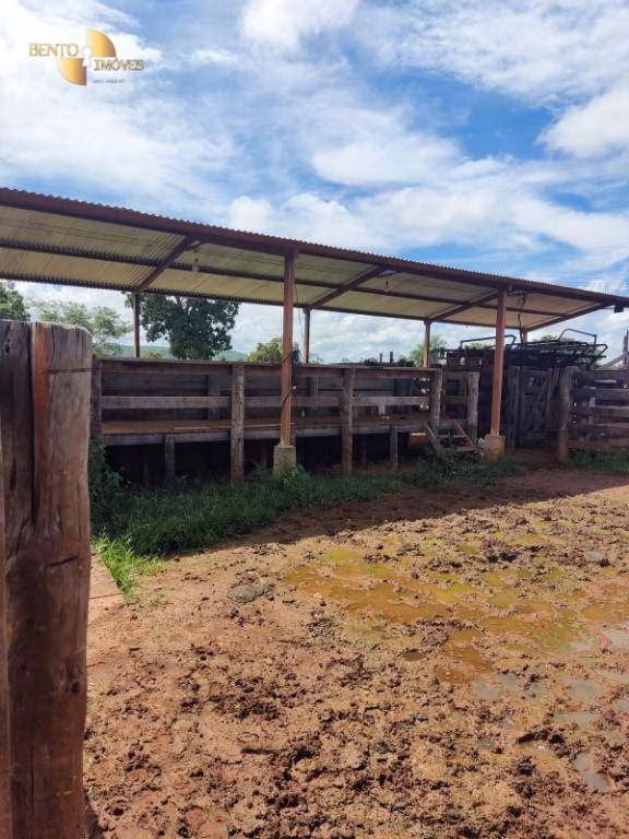 Farm of 914 acres in Poconé, MT, Brazil
