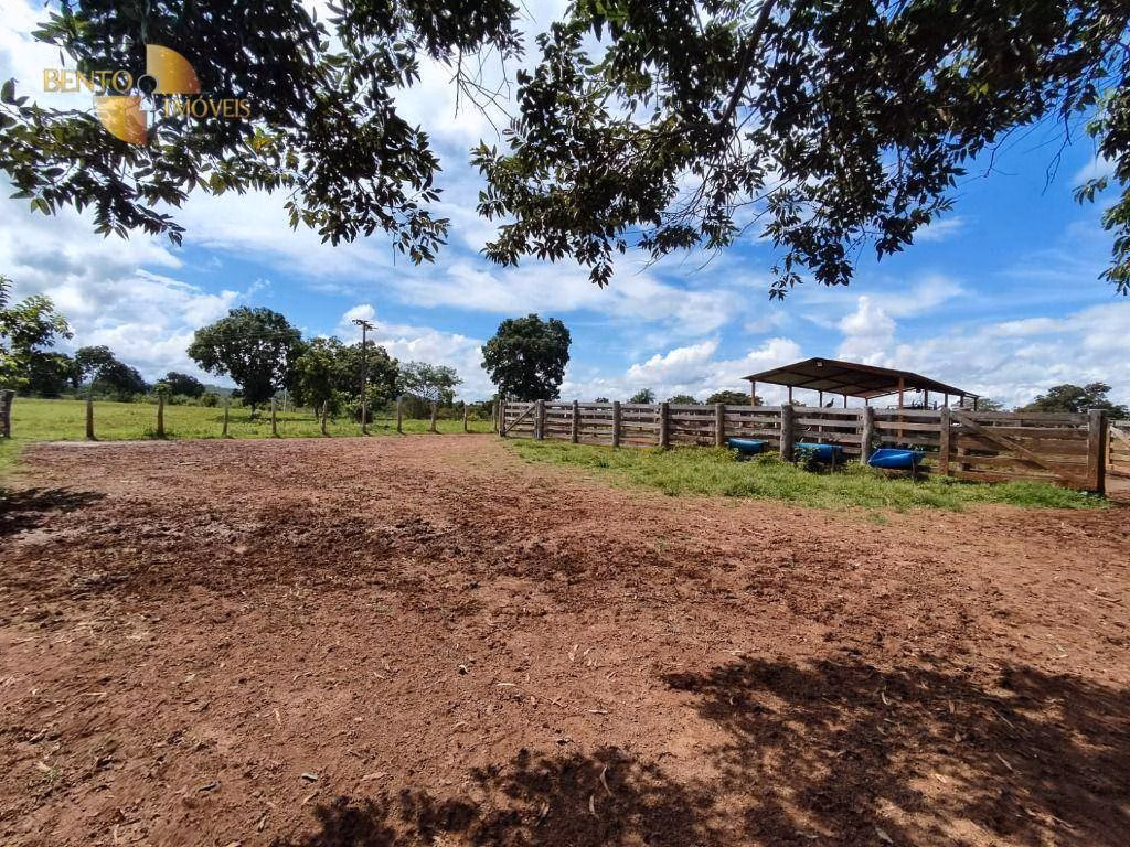 Farm of 914 acres in Poconé, MT, Brazil