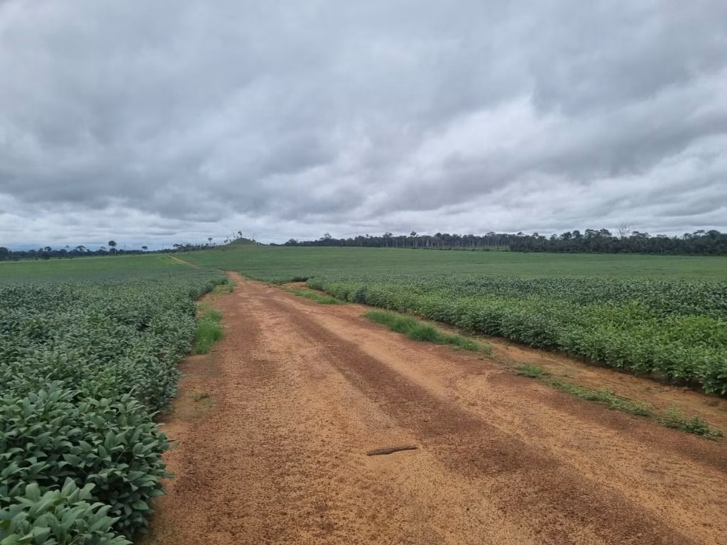 Fazenda de 930 ha em Porto Velho, RO