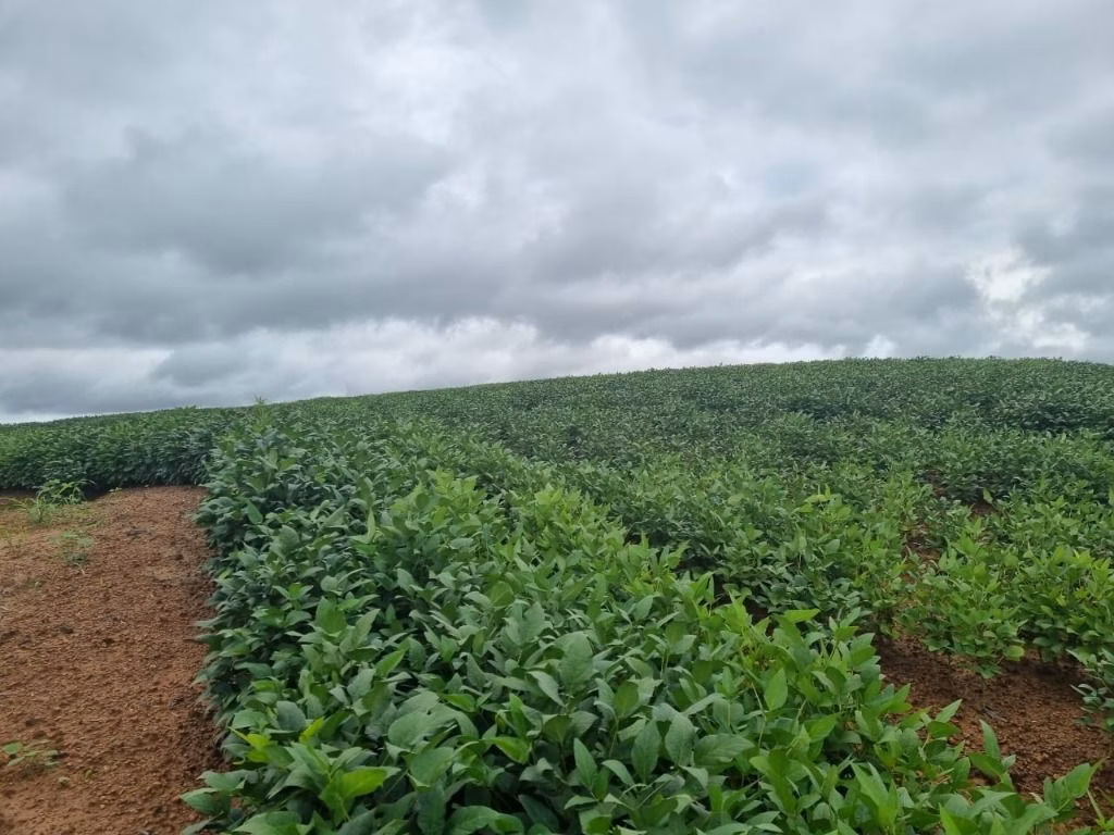 Fazenda de 930 ha em Porto Velho, RO