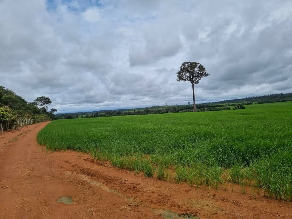 Fazenda de 930 ha em Porto Velho, RO