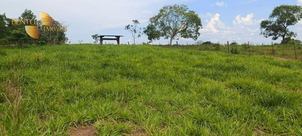 Fazenda de 912 ha em Tesouro, MT