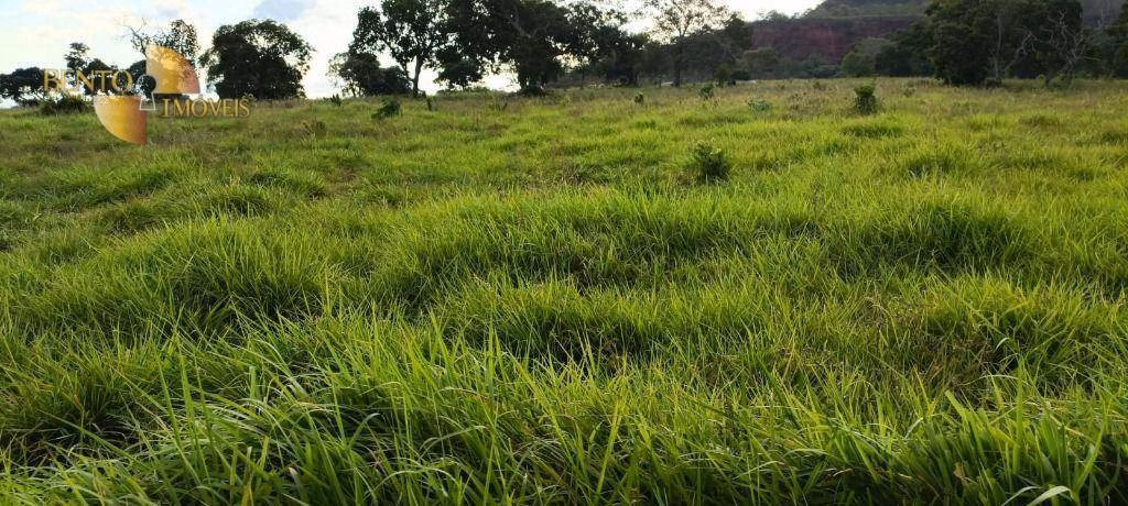 Fazenda de 912 ha em Tesouro, MT