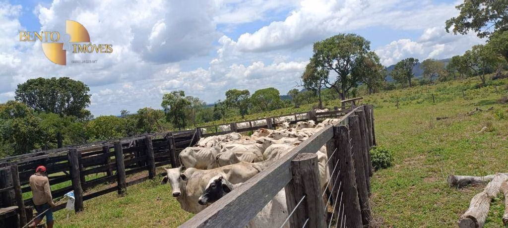 Fazenda de 912 ha em Tesouro, MT