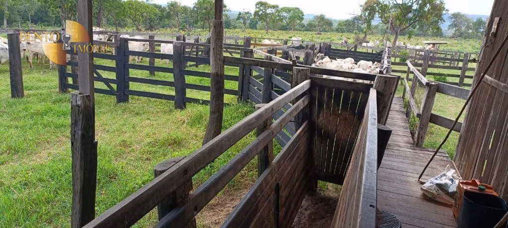 Fazenda de 912 ha em Tesouro, MT
