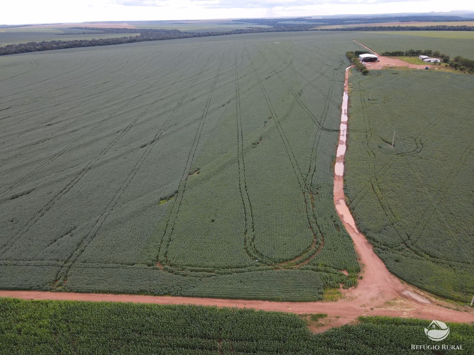 Fazenda de 858 ha em Primavera do Leste, MT
