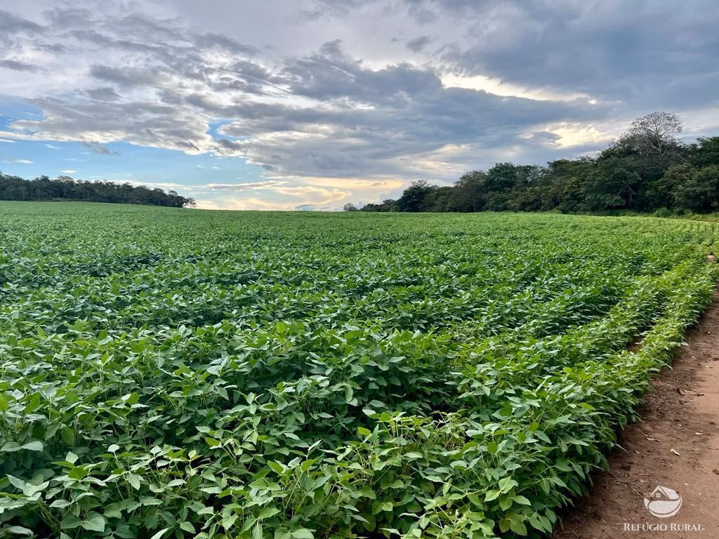 Fazenda de 858 ha em Primavera do Leste, MT