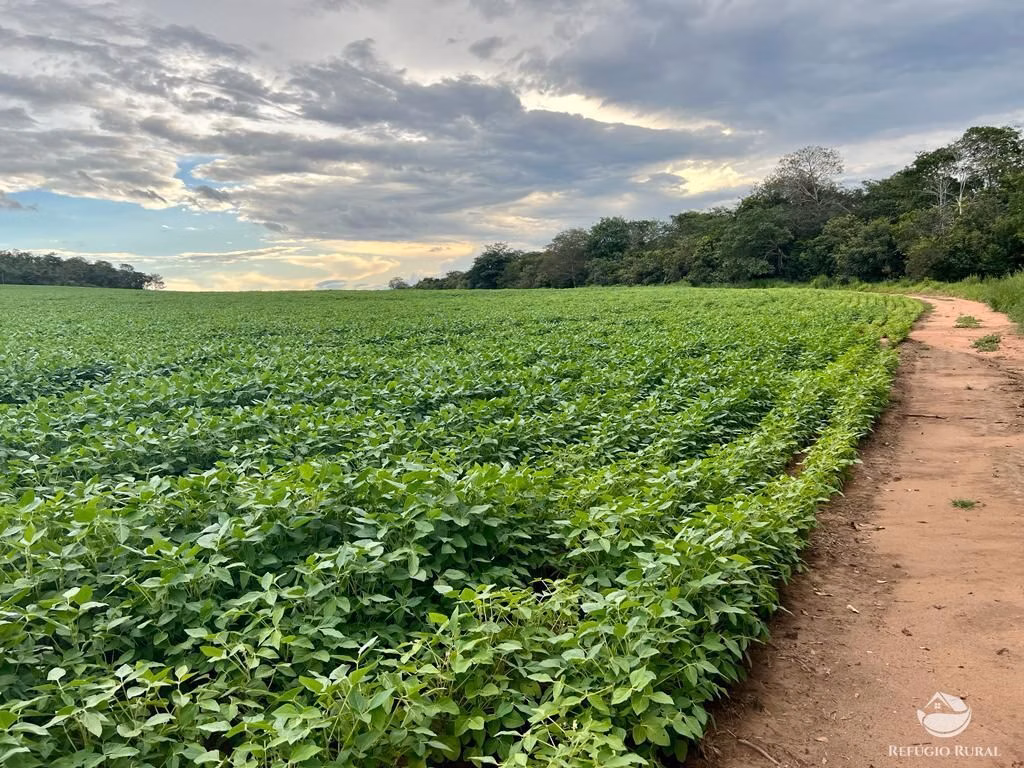 Fazenda de 858 ha em Primavera do Leste, MT