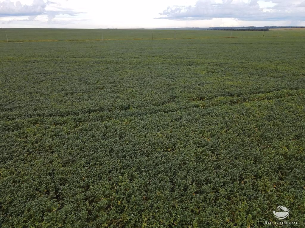 Fazenda de 858 ha em Primavera do Leste, MT