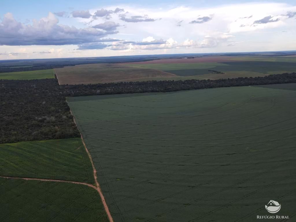 Fazenda de 858 ha em Primavera do Leste, MT