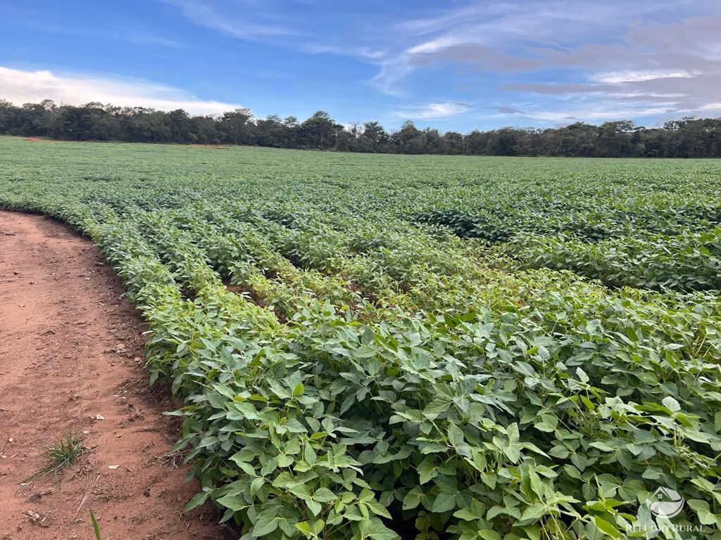 Fazenda de 858 ha em Primavera do Leste, MT