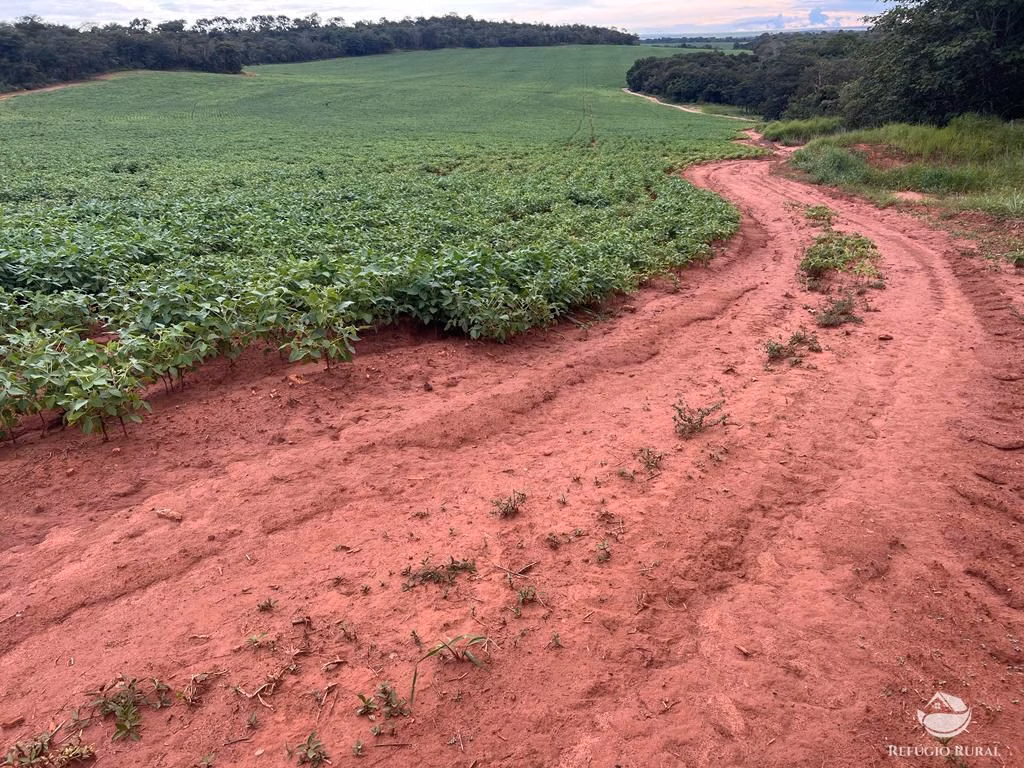 Fazenda de 858 ha em Primavera do Leste, MT
