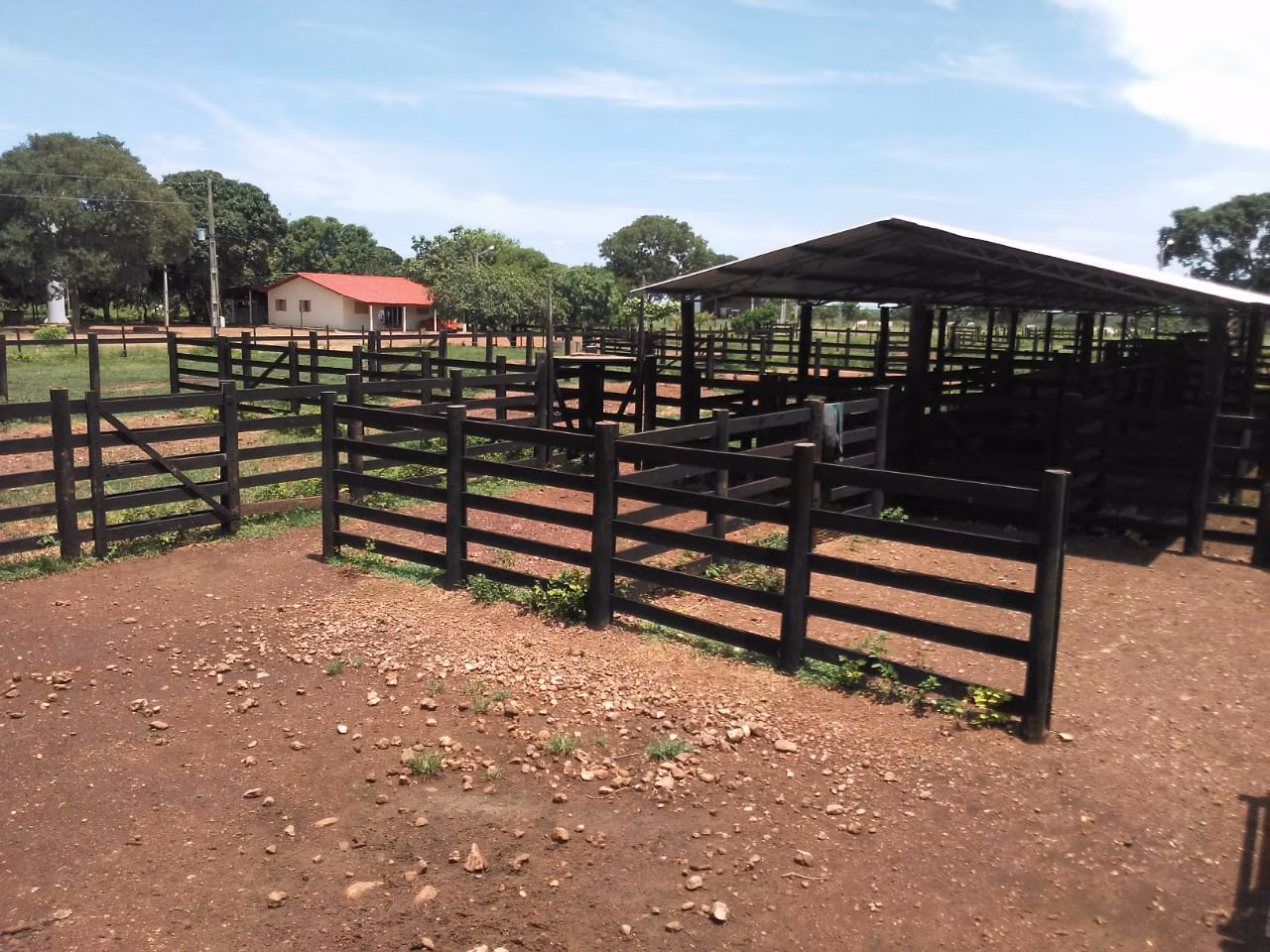 Ferme à vendre de 242 ha à Sandolândia, TO