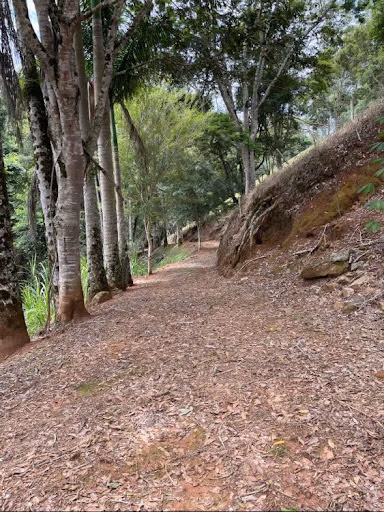 Small farm of 36 acres in Santa Rita do Sapucaí, MG, Brazil