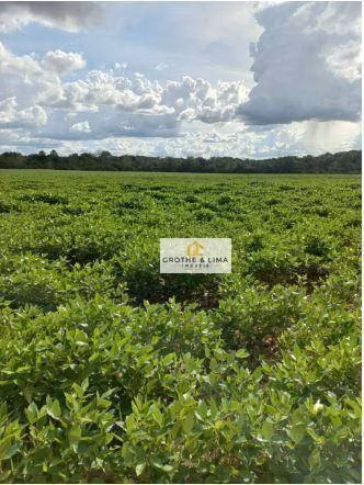 Farm of 1.615 acres in Araguaína, TO, Brazil