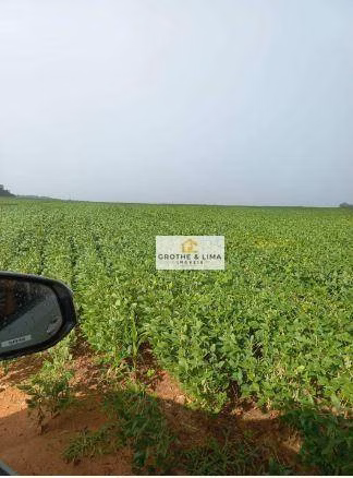 Farm of 1.615 acres in Araguaína, TO, Brazil