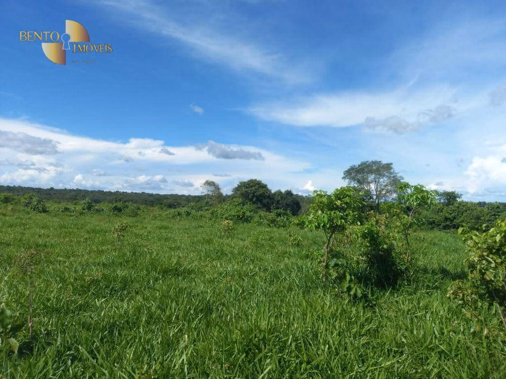 Fazenda de 1.485 ha em Várzea Grande, MT