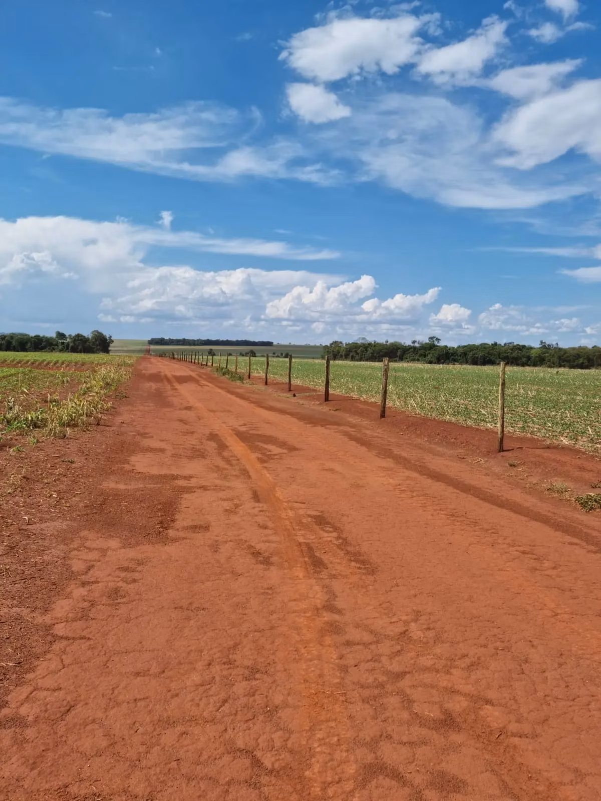 Fazenda à venda de 12.300 ha em San Pedro de Ycuamandiyú, Paraguai