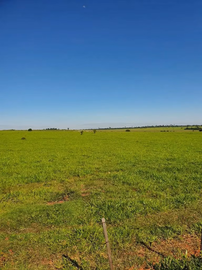 Fazenda à venda de 12.300 ha em San Pedro de Ycuamandiyú, Paraguai