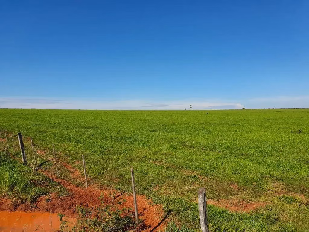 Fazenda à venda de 12.300 ha em San Pedro de Ycuamandiyú, Paraguai