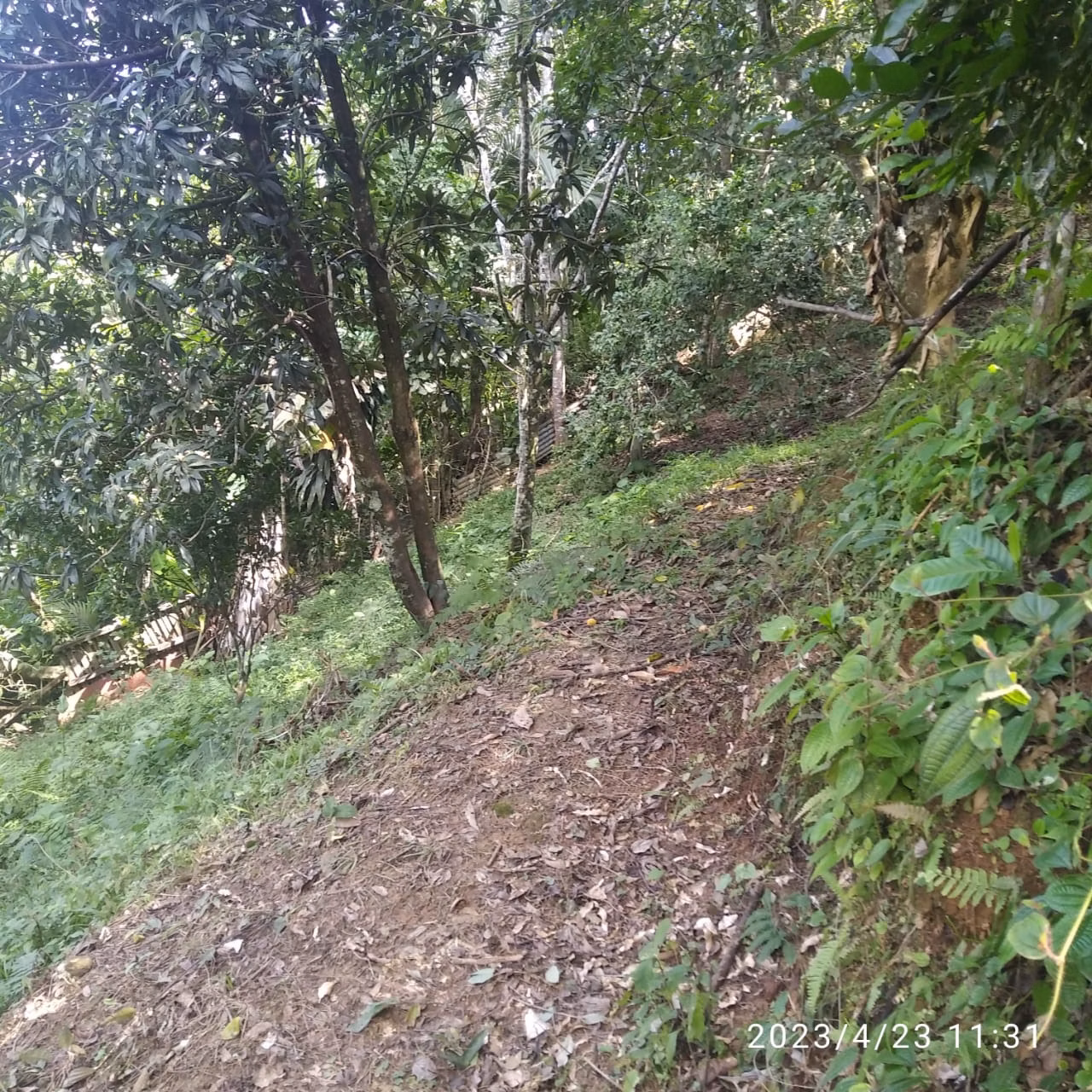 Chácara de 1.450 m² em São José dos Campos, SP