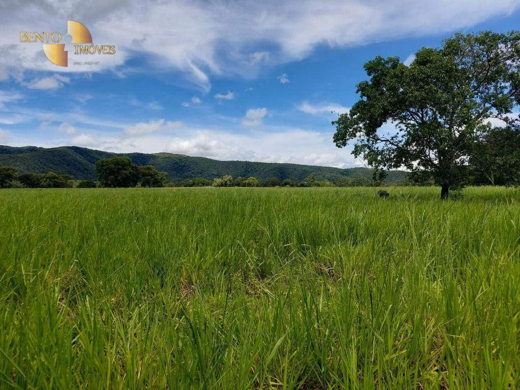 Farm of 4.201 acres in Acorizal, MT, Brazil