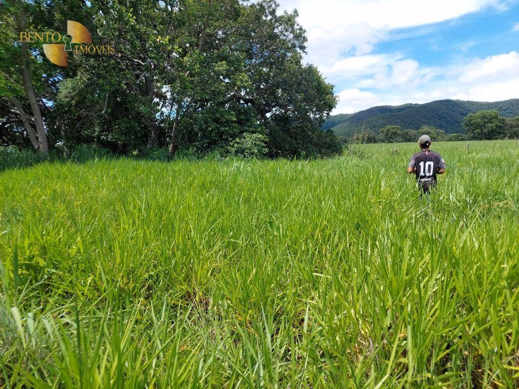 Fazenda de 1.700 ha em Acorizal, MT