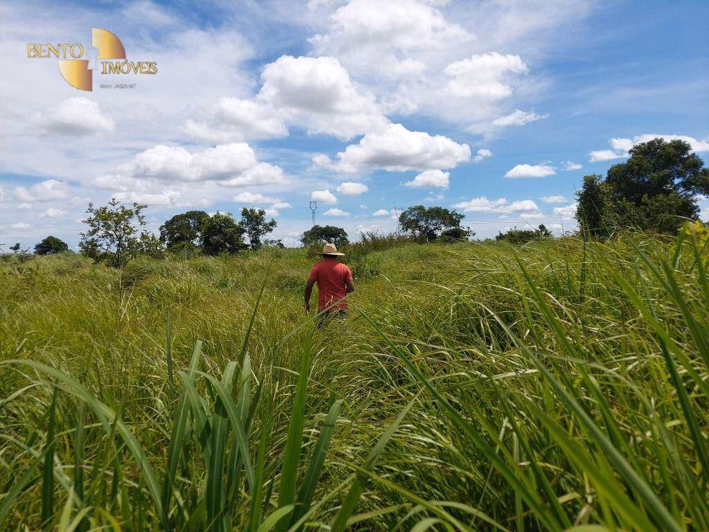 Fazenda de 1.700 ha em Acorizal, MT