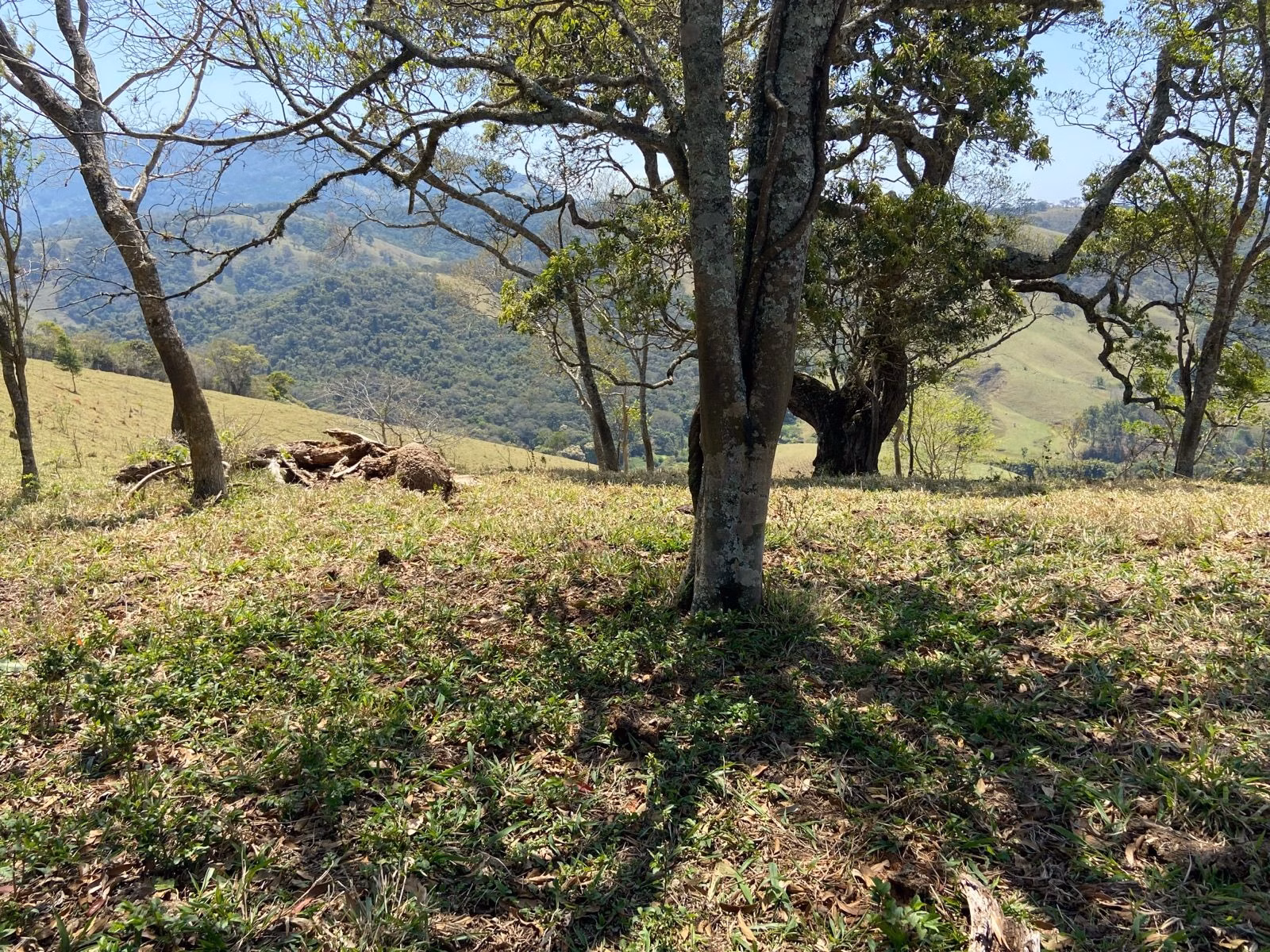 Terreno de 17 ha em Sapucaí-Mirim, MG