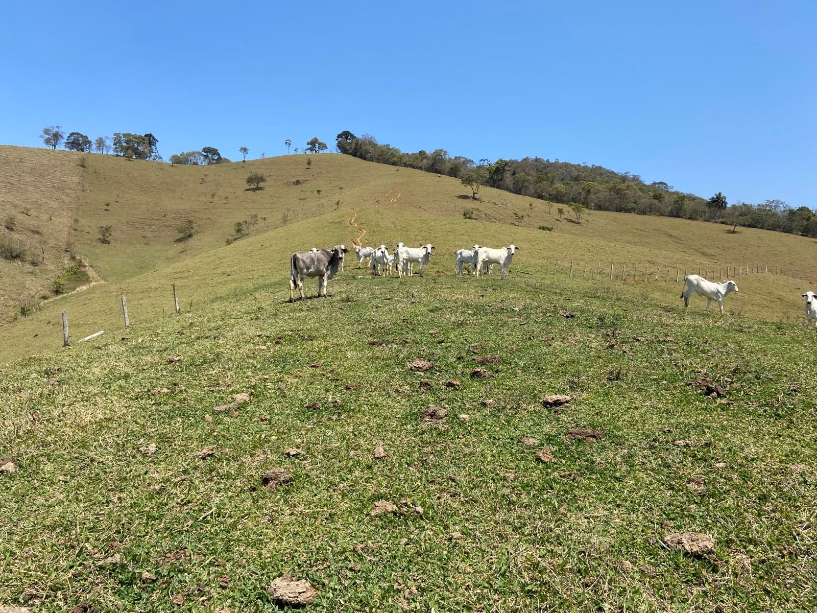 Terreno de 17 ha em Sapucaí-Mirim, MG