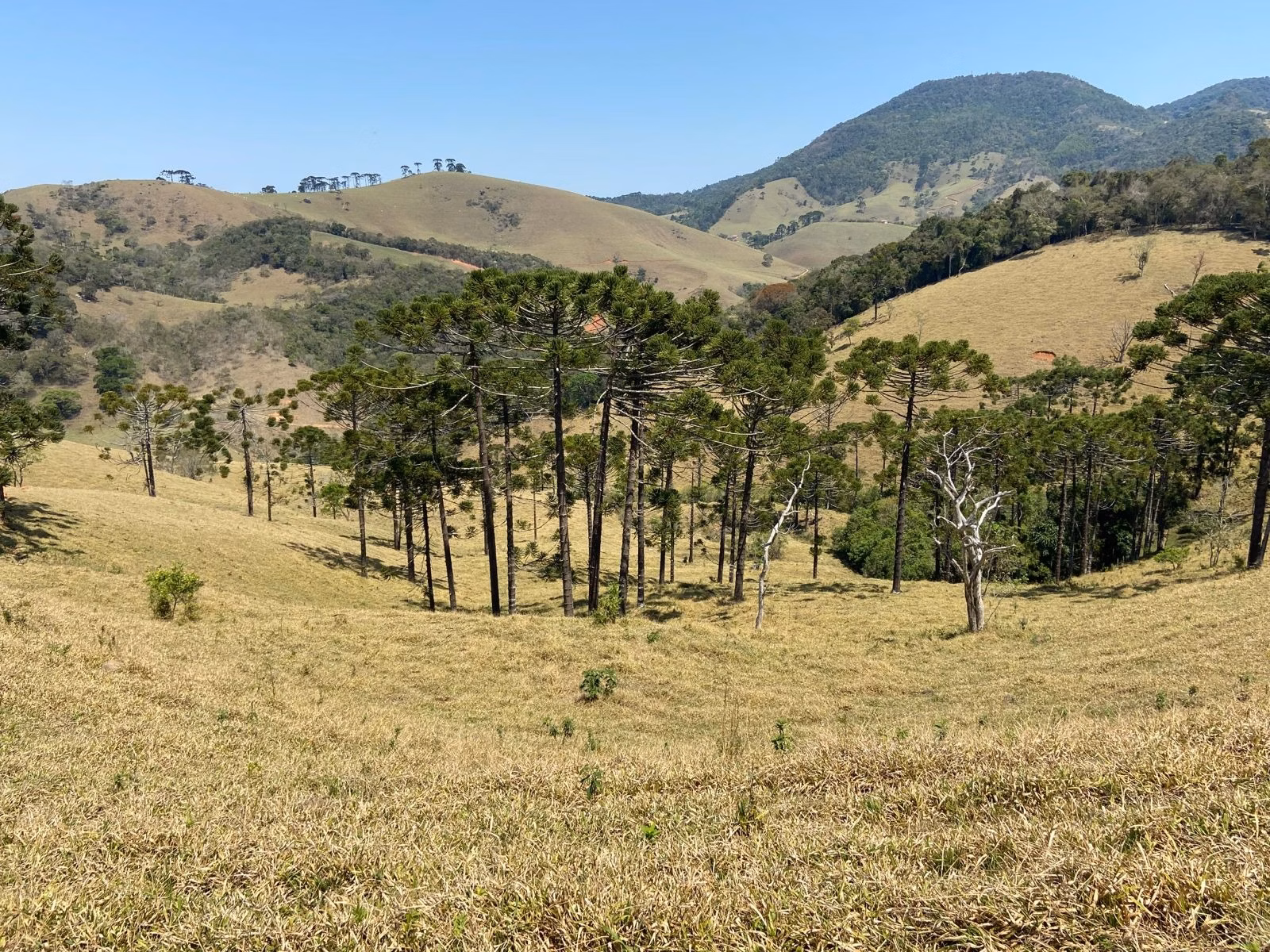 Terreno de 17 ha em Sapucaí-Mirim, MG
