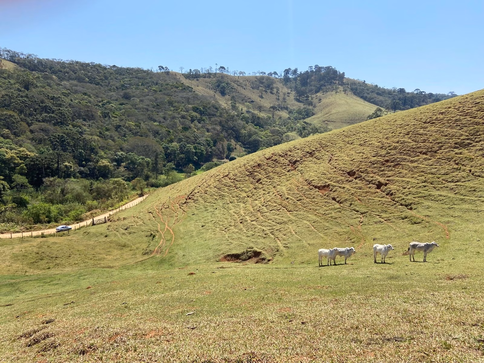 Terreno de 17 ha em Sapucaí-Mirim, MG