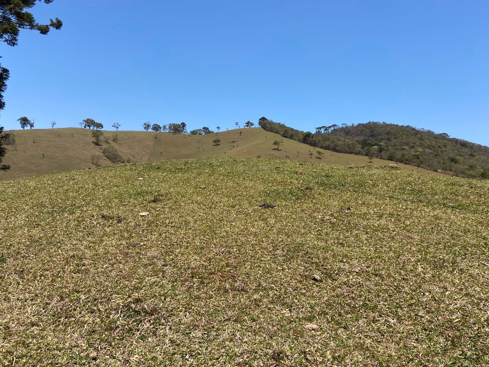 Terreno de 17 ha em Sapucaí-Mirim, MG